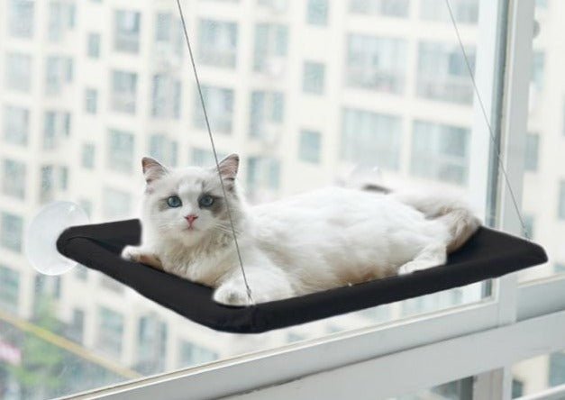 karstadt hängematte Stylish Cat Window Hammock Perch, Black