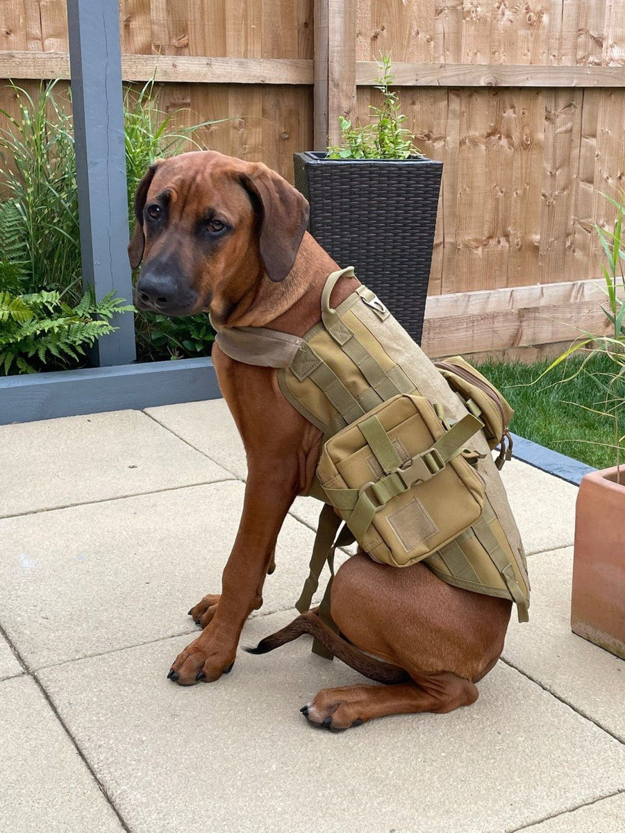 Military Pitbull Vest Harness Pitbull K9 Search And Rescue Vest