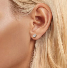 Carregar imagem no visualizador da galeria, 925 Sterling Silver &amp; Gold Opal Paw Stud Earrings-Furbaby Friends Gifts