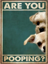 Carica l&#39;immagine nel visualizzatore di Gallery, Are You Pooping? Customisable Metal Wall Plaques-Furbaby Friends Gifts