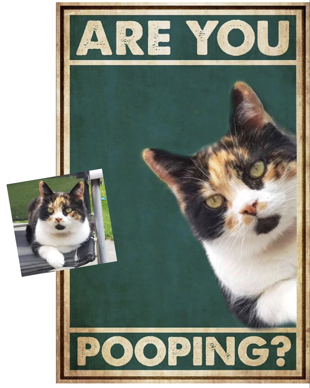 Are You Pooping? Customisable Metal Wall Plaques-Furbaby Friends Gifts