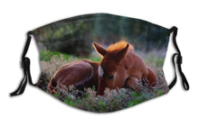 Laden Sie das Bild in den Galerie-Viewer, Baby Foal-Furbaby Friends Gifts