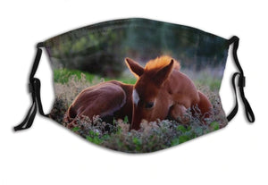 Baby Foal-Furbaby Friends Gifts