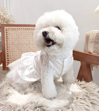 Load image into Gallery viewer, Beautiful Satin Pet Party Dress-Furbaby Friends Gifts