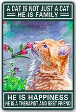 Carica l'immagine nel visualizzatore di Gallery, Beautiful &amp; Sentimental Kitty Plaques-Furbaby Friends Gifts