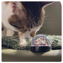 Carregar imagem no visualizador da galeria, Cat Litter Snow Globe-Furbaby Friends Gifts
