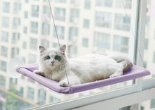 Load image into Gallery viewer, Cat Window Hammock-Furbaby Friends Gifts