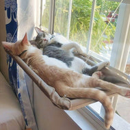 Cat Window Hammock-Furbaby Friends Gifts
