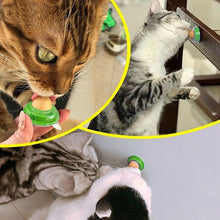Carregar imagem no visualizador da galeria, Catnip Licks-Furbaby Friends Gifts