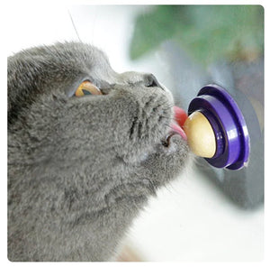 Catnip Licks-Furbaby Friends Gifts