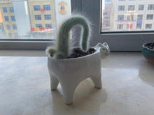 Carregar imagem no visualizador da galeria, Ceramic &#39;Cat Tail&#39; Flowerpot-Furbaby Friends Gifts