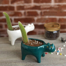 Laden Sie das Bild in den Galerie-Viewer, Ceramic &#39;Cat Tail&#39; Flowerpot-Furbaby Friends Gifts