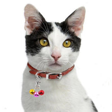 Load image into Gallery viewer, Christmas Bells Collar Pendant-Furbaby Friends Gifts