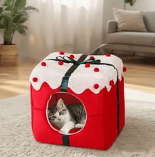 Laden Sie das Bild in den Galerie-Viewer, Christmas Present Pet Bed with Memory Foam Pad-Furbaby Friends Gifts