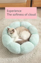 Laden Sie das Bild in den Galerie-Viewer, Comfort Flower Cloud Bed-Furbaby Friends Gifts