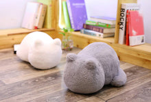 Carregar imagem no visualizador da galeria, Cuddly Cat Cushions-Furbaby Friends Gifts
