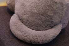 Laden Sie das Bild in den Galerie-Viewer, Cuddly Cat Cushions-Furbaby Friends Gifts