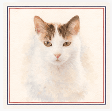 Load image into Gallery viewer, Customised Silk Scarves - Your Pet!-Furbaby Friends Gifts
