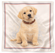 Load image into Gallery viewer, Customised Silk Scarves - Your Pet!-Furbaby Friends Gifts