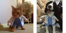 Laden Sie das Bild in den Galerie-Viewer, Doctor &amp; Nurse Pet Outfits-Furbaby Friends Gifts