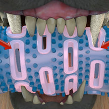 Carregar imagem no visualizador da galeria, Dog Chew Toothbrush-Furbaby Friends Gifts
