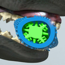 Carregar imagem no visualizador da galeria, Dog Chew Toothbrush-Furbaby Friends Gifts