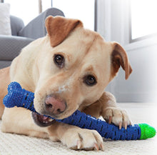 Load image into Gallery viewer, Dog Chew Toothbrush-Furbaby Friends Gifts