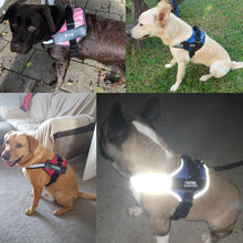 Afbeelding in Gallery-weergave laden, Dog Harness - No Pull, Customisable, Reflective, Breathable, &amp; Adjustable!-Furbaby Friends Gifts
