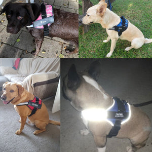 Dog Harness - No Pull, Customisable, Reflective, Breathable, & Adjustable!-Furbaby Friends Gifts