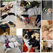 Carregar imagem no visualizador da galeria, Dog Harness - No Pull, Customisable, Reflective, Breathable, &amp; Adjustable!-Furbaby Friends Gifts