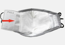 Cargar imagen en el visor de la galería, Filter Packs for Face Masks: PM2.5 Refill Carbon Filters-Furbaby Friends Gifts