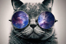 Load image into Gallery viewer, &#39;Galaxy Cat&#39; Canvas Oil Prints-Furbaby Friends Gifts