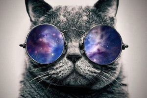 'Galaxy Cat' Canvas Oil Prints-Furbaby Friends Gifts