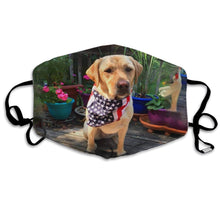 Load image into Gallery viewer, Gorgeous Yellow Labrador-Furbaby Friends Gifts