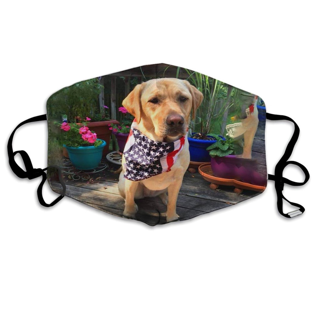 Gorgeous Yellow Labrador-Furbaby Friends Gifts