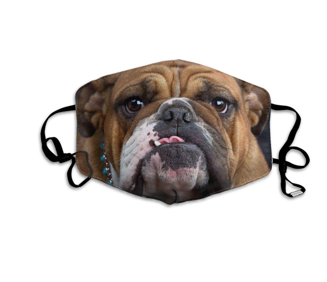 Grumpy Bulldog-Furbaby Friends Gifts