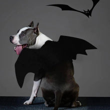 Load image into Gallery viewer, Halloween Bat Wings-Furbaby Friends Gifts