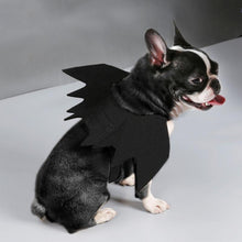 Load image into Gallery viewer, Halloween Bat Wings-Furbaby Friends Gifts