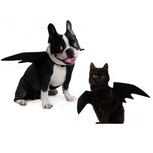 Cargar imagen en el visor de la galería, Halloween Bat Wings-Furbaby Friends Gifts