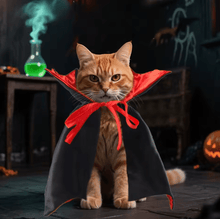 Laden Sie das Bild in den Galerie-Viewer, Halloween Pet Vampire Costume-Furbaby Friends Gifts