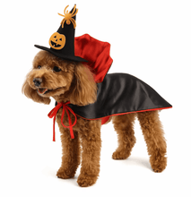 Laden Sie das Bild in den Galerie-Viewer, Halloween Pet Vampire Costume-Furbaby Friends Gifts