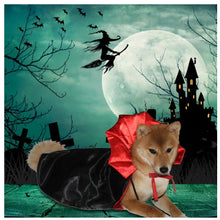 Load image into Gallery viewer, Halloween Pet Vampire Costume-Furbaby Friends Gifts