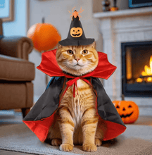 Laden Sie das Bild in den Galerie-Viewer, Halloween Pet Vampire Costume-Furbaby Friends Gifts