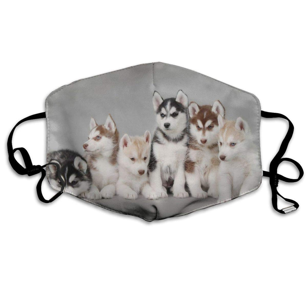 Husky Puppies-Furbaby Friends Gifts