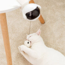 Laden Sie das Bild in den Galerie-Viewer, Interactive Cat &#39;Yo-Yo&#39; Ball Game-Furbaby Friends Gifts