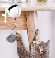Carica l&#39;immagine nel visualizzatore di Gallery, Interactive Cat &#39;Yo-Yo&#39; Ball Game-Furbaby Friends Gifts