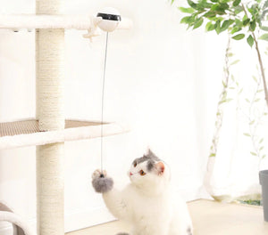 Interactive Cat 'Yo-Yo' Ball Game-Furbaby Friends Gifts