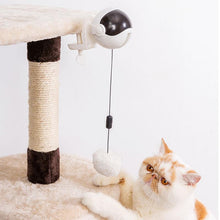 Carregar imagem no visualizador da galeria, Interactive Cat &#39;Yo-Yo&#39; Ball Game-Furbaby Friends Gifts