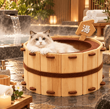 Charger l'image dans la galerie, Jacuzzi Hot Tub Pet Bed - Furbaby Friend Gifts Pet Bed