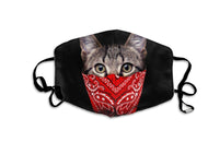 Kitty Bandit-Furbaby Friends Gifts